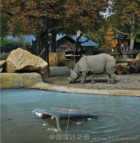 美泉宮動物園藝術(shù)與野生動物相遇