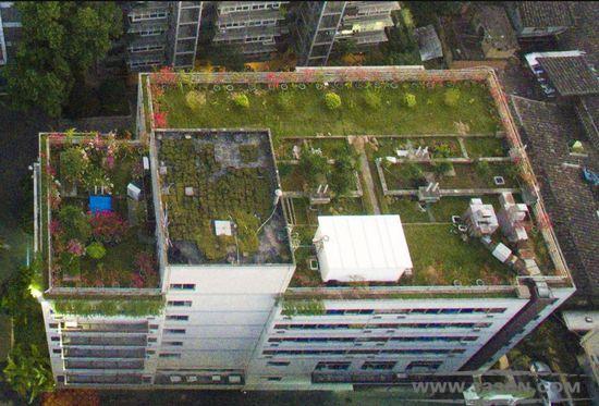 福州 5公共建筑 立體綠化 福州市民 融僑集團