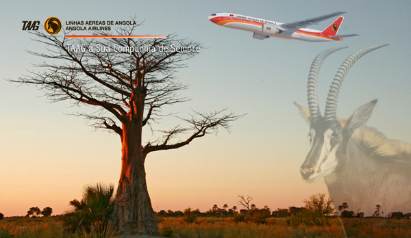 Taag angola airlines brand identity TAAGչ˾ƷƘ(bio)R(sh)