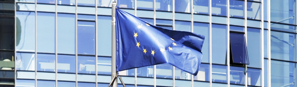 lithuania eu2013 logo 4 2013°Wֵ݆ϯR 