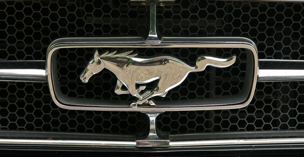 [܇(bio)׃ Mustang  50 