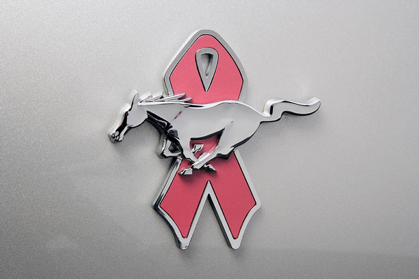 [܇׃ Mustang  50 