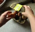(li)r(nng)(chng)ҰȤHappy Eggsĸɲݰb