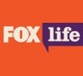 ˹lFox Life_