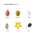 Mouse Category (bio)O(sh)Ӌ(j)