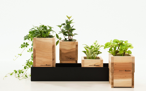 planter -dandan- by yuuki kumagai|yupoo.com