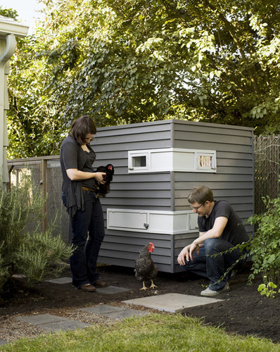modern-hen-house-2|yupoo.com