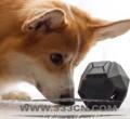 Up Dog ToysʳO(sh)Ӌ(j)