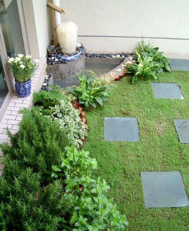 屋頂花園植物的選擇 屋頂花園植物的選擇