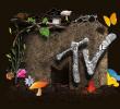 FAOӋңMTV.comOӋ